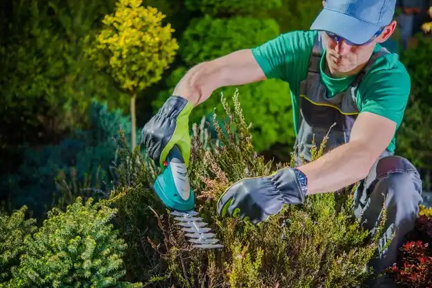 landscaping services Carle Place